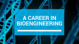 A Career in BioEngineering banner